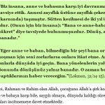 8 Mart Dünya Emekçi Kadınlar Günü Mesajımdır