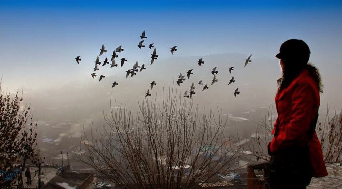 Seni arar gibi
