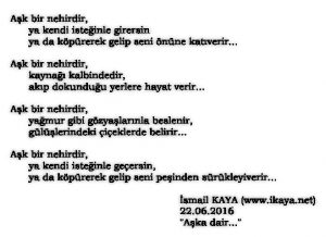 askbirnehirdir